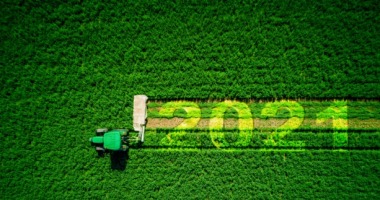 Podsumowanie produkcji roślinnej w 2021: ceny w górę!