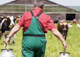 „Od Pola do Stołu” dla sektora mleczarskiego - wnioski po konferencji