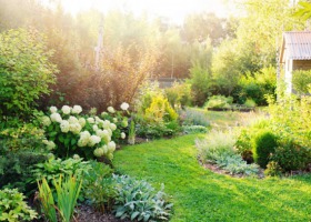 Zakładamy ogród - zaprojektuj własny kawałek raju