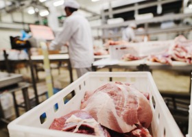 Odmrożenie gospodarki a wzrost cen wieprzowiny