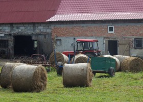 Wnioski na restrukturyzację gospodarstw - nabór wydłużony