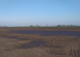 KSC uruchamia program pomocowy dla Plantatorów buraka cukrowego