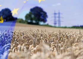 Co z promocją rolnictwa? Komisja Europejska zbiera opinie
