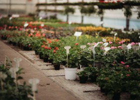 InHort zaprasza na dzień otwartych drzwi