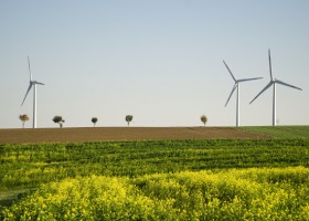 PROW 2014-2020. Zmiany w działaniu Rolnictwo ekologiczne od 2018 roku