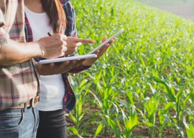Studia podyplomowe - Rolnictwo i ekonomika gospodarstw rolnych