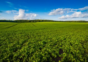 Zielony Ład będzie miał wpływ na rolnictwo