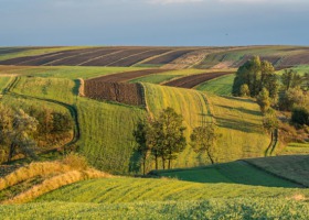 Czynsz dzierżawny: najdrożej na Mazowszu