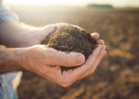 Zdrowa gleba - bardzo ważny element środowiska naturalnego