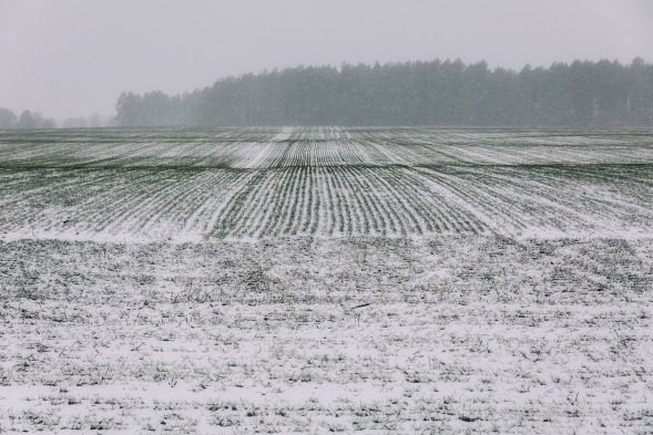 Zima wraca na pola: czy jest się czego obawiać?