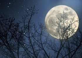Jaki jest wpływ Księżyca na ciało i psychikę?