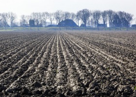 Uprawa gleb gliniastych – praktyczne porady