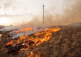 Rolniku wypalasz trawy? Możesz trafić do więzienia i stracić dopłaty!