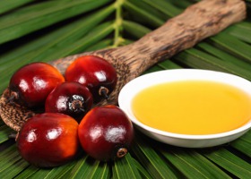 Olej palmowy - jak wpływa na organizm?