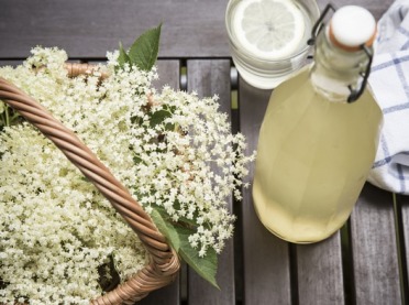Z łąki na stół - kulinarne przepisy na wiosnę i lato