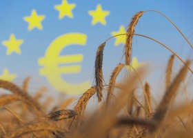 Nawet 100 tys. euro rocznie dla grup producentów - złóż wniosek