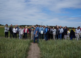 Agrotechnika w rolnictwie ekologicznym