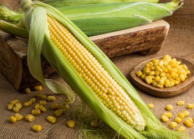 Zdrowa kolba - właściwości zdrowotne kukurydzy