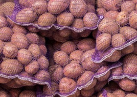 Zasady obrotu ziemniakami - co musi wiedzieć polski rolnik?
