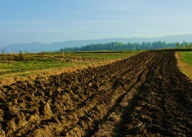 Ekspert radzi: jak powinno się planować płodozmian?