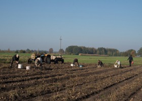 Zakwaterowanie pracownika w gospodarstwie - co musi wiedzieć rolnik?
