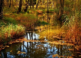 Warto odwiedzić - Roztoczański Park Narodowy