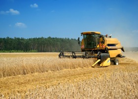 Producenci zbóż podsumowują rok