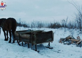 Tragiczny wypadek podczas zwózki drewna