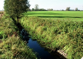 Ochrona wód gruntowych - wszystko, co musi wiedzieć rolnik!