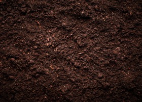 Zawartość próchnicy podstawą żyzności gleb