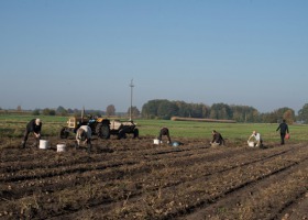 KRUS: Podatek w związku z umową o pomocy przy zbiorach