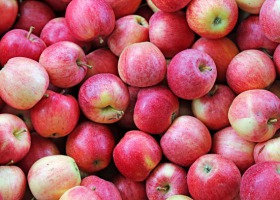 Trudny rynek jabłek