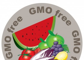 Znakowanie produktów bez GMO. A może odwrotnie?