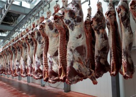 Czesi znaleźli salmonellę w polskiej wołowinie