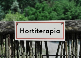 Na czym polega hortiterapia?