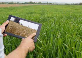 Czwarta edycja Agro Akademii Banku BGŻ BNP Paribas