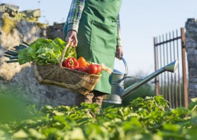 IMAS Agri: Większa świadomość o produktach BIO