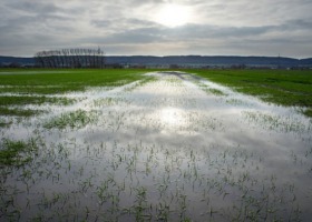 Wystartowała sprzedaż dotowanych ubezpieczeń dla rolników