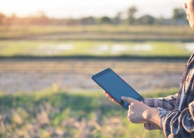 Program azotanowy nie podoba się producentom zbóż