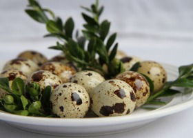 Przepiórcze jaja - idealne na Wielkanoc i nie tylko