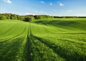 "Go Agri Bio" - od tradycyjnego rolnictwa ku ekologii