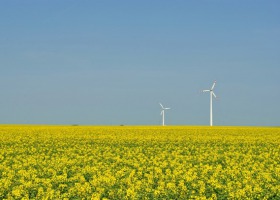 Jak uzyskać pieniądze na odnawialne źródła energii?