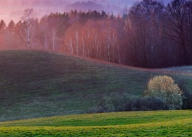 Wieje i suszy. Czy znów będą przymrozki?