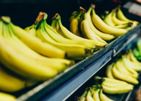 Banany hitem eksportowym Polski?