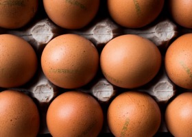 IMAS Agri: Niewiele ponad jedna trzecia Polaków rozpoznaje poprawnie kody na jajach
