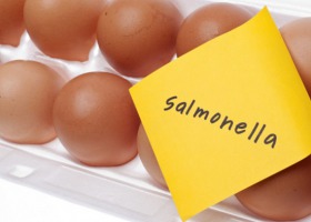 Znów salmonella w jajkach - sprawdź, czy nie masz ich w lodówce!