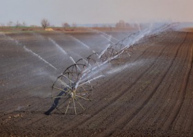 Woda na potrzeby rolnictwa - jak lepiej wykorzystać każdą kroplę wody?
