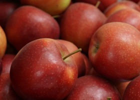 Firma Eskimos zapłaciła sadownikom za jabłka