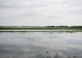 Zalane gospodarstwa - jaka skala zniszczeń?