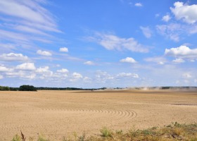 Raport IUNG: susza w czterech województwach